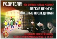 Профилактика правонарушений в сфере наркоторговли