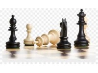 Первенство по шахматам