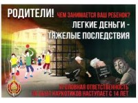 Профилактика правонарушений в сфере наркоторговли