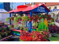 «Городские цветы» от Жилстроя для любимого Гродно